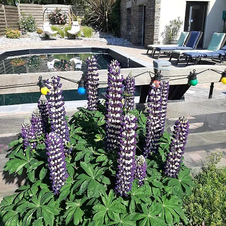 Le Val Daniniere Adult Only