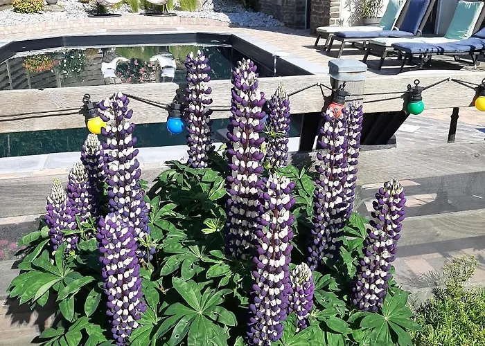 Le Val Daniniere Adult Only